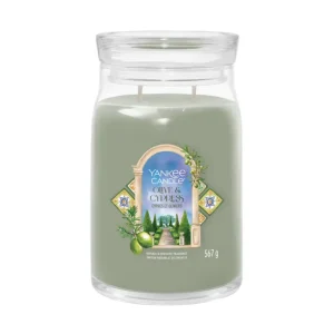Vela Olive & Cypress Yankee Candle