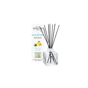 Mikado Zest of Verbena Maison Berger