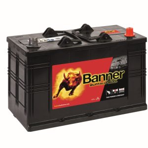 BUFFALO BULL 110AH 800A 344X175X241 +DIR