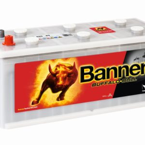 BUFFALO BULL 180AH 950A 510X216X205 +DIR